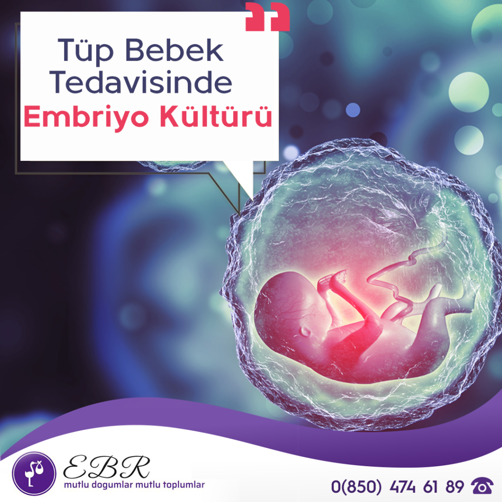 Tüp Bebek Tedavisinde Embriyo Kültürü