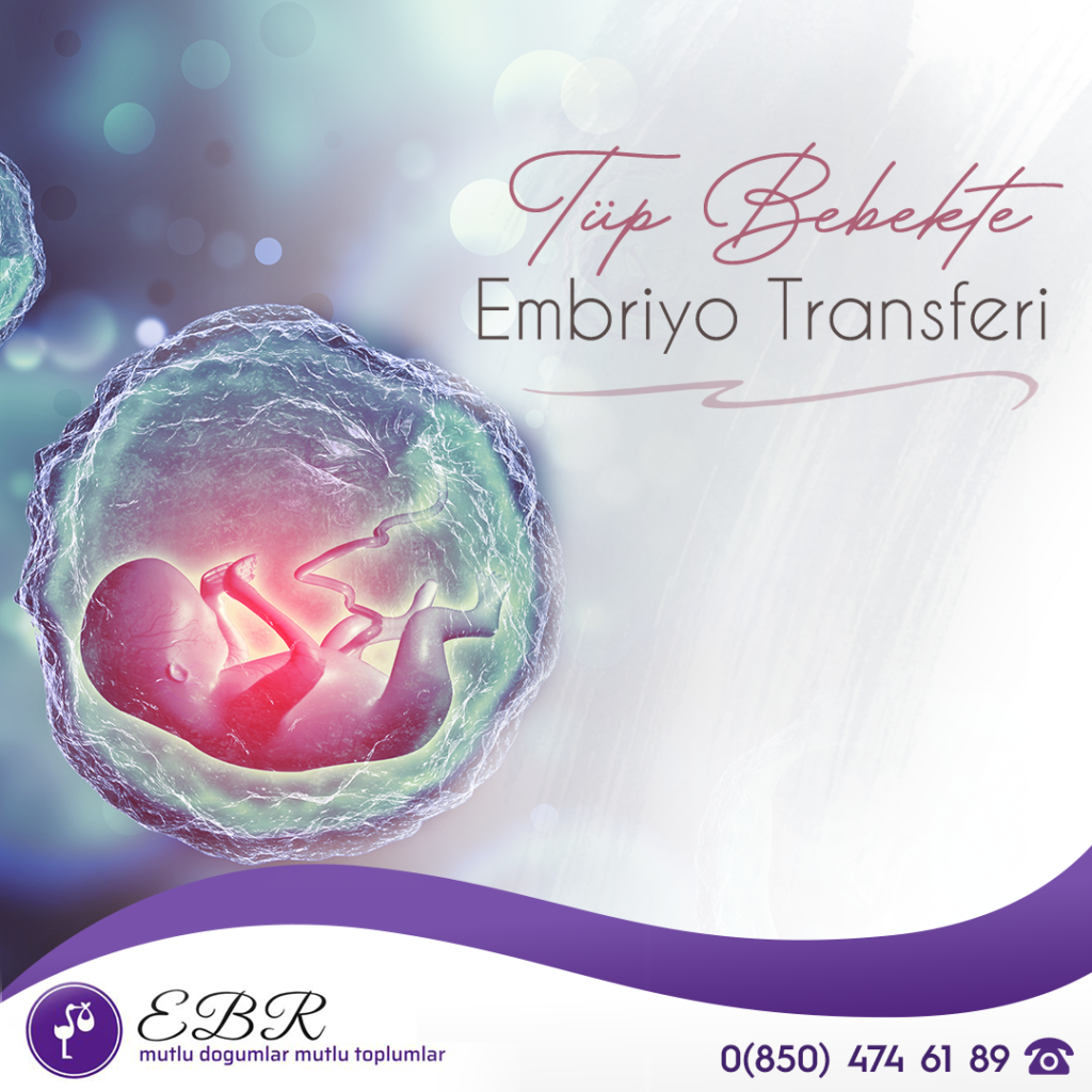 tüp bebekte embriyo transferi